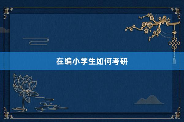 在编小学生如何考研