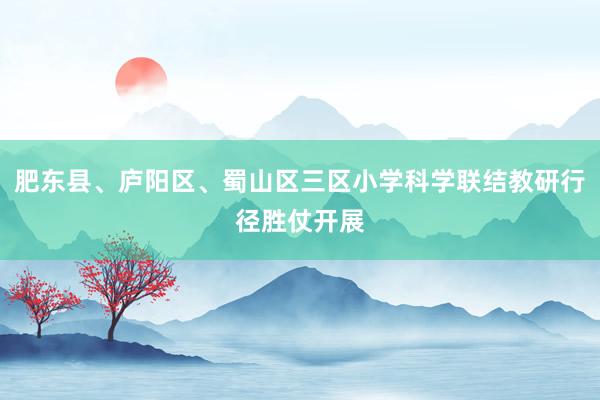 肥东县、庐阳区、蜀山区三区小学科学联结教研行径胜仗开展