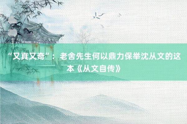 “又真又奇”：老舍先生何以鼎力保举沈从文的这本《从文自传》