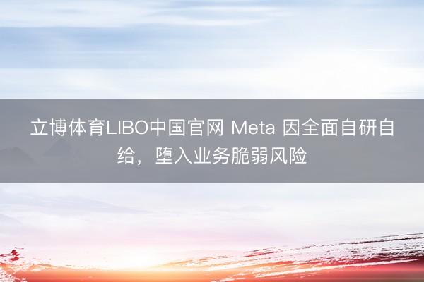 立博体育LIBO中国官网 Meta 因全面自研自给，堕入业务脆弱风险